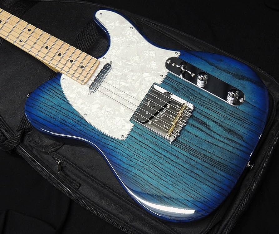 Amazon | Fujigen フジゲン FGN FUJIGEN NTE10MAH SBB Neo Classic