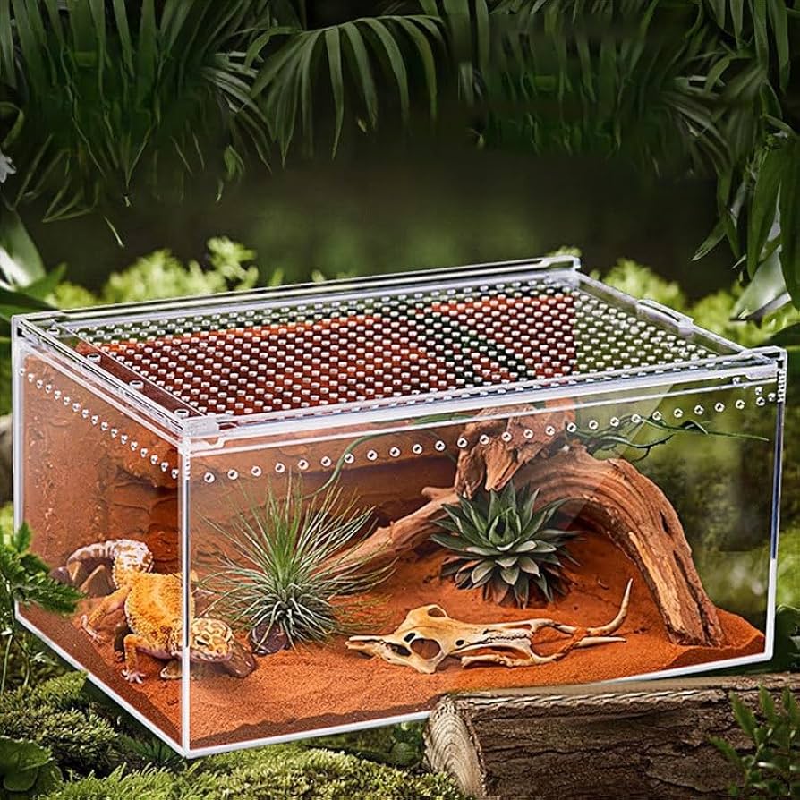 Amazon | Raineed 爬虫類 ケージ トカゲ 飼育セット カエル 水槽