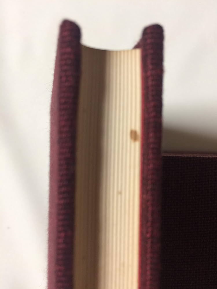 Amazon.co.jp: ヒマラヤ聖者の生活探求 全5巻 : B・T・スポール