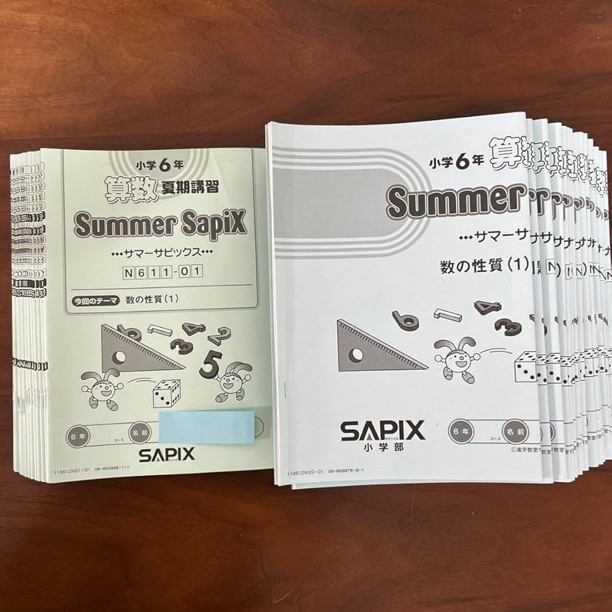 0㉔ま サピックス SAPIX 6年生 ディリーサポート 一年分 0㉔ま