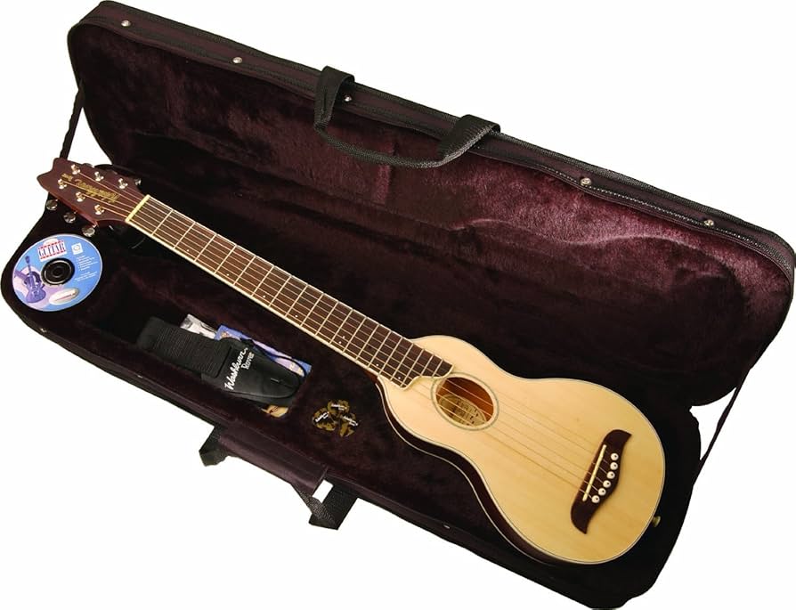 Amazon.co.jp: Washburn ワッシュバーン トラベル アコスティック