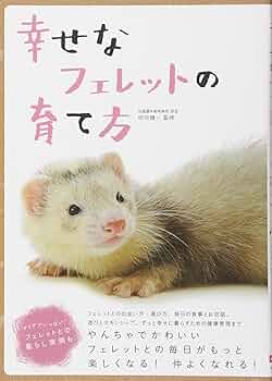 71KeINUdiBL._AC_UF350,