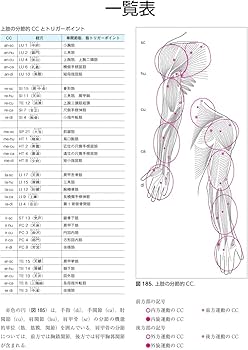Amazon.co.jp: 筋膜マニピュレーション 理論編 原著第2版: 筋骨格系