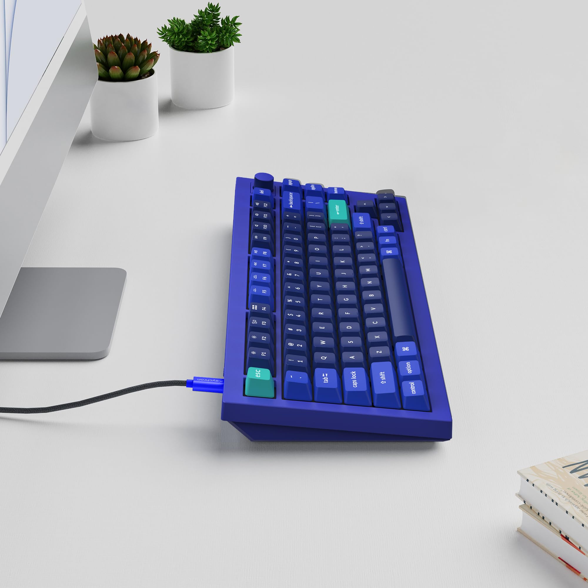 Amazon.com: Keychron Q1 RGB Wired Custom Mechanical Keyboard Knob