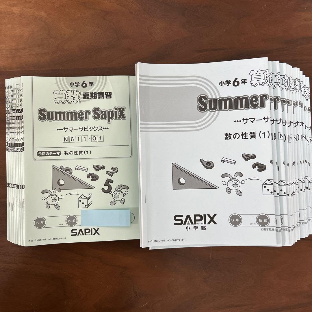 Spring Daily Summer SapiX 6年 算数 1年分 Spring Daily Summer SapiX