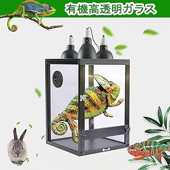 Amazon | Pounjsd カメレオン 飼育ケース 爬虫類 ケージ 120cm 大型