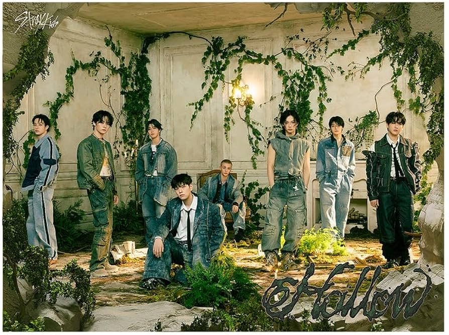 Amazon.com: [2nd Stock] Stray Kids - Hollow [CD+Blu-ray Limited