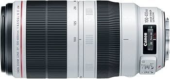 Amazon.com : Canon EF 100-400mm f/4.5-5.6L is II USM Lens, Lens