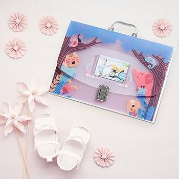 Amazon.com: BLUSHY BABY 12 Pockets Baby File Organizer for Boy or