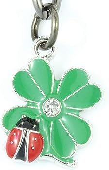 Amazon.co.jp: てんとう虫 幸運のギフト てんとう虫 キーチェーン 四つ