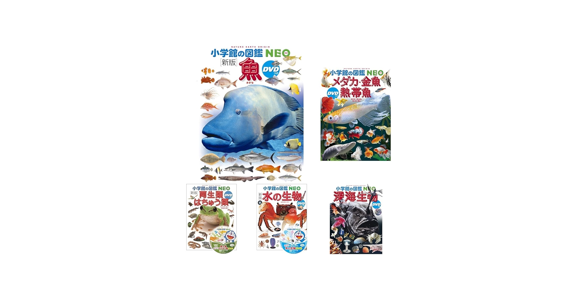 図鑑NEO_魚と水の生き物_5冊セット |本 | 通販 | Amazon