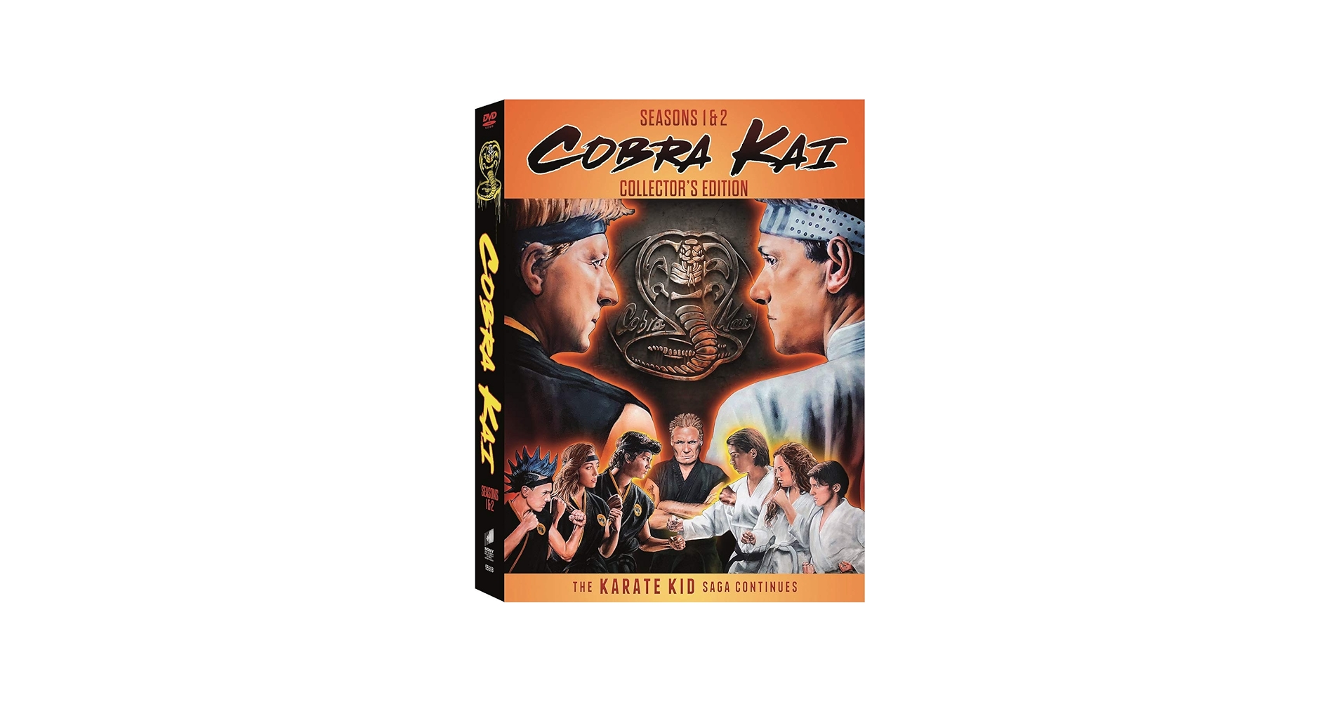 Amazon.com: Cobra Kai Season 1 & Season 2 Limited Collector's