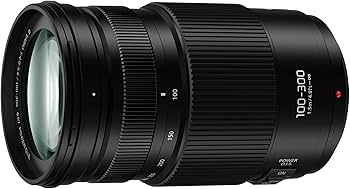 Amazon.com : Panasonic LUMIX G II Vario Lens, 100-300MM