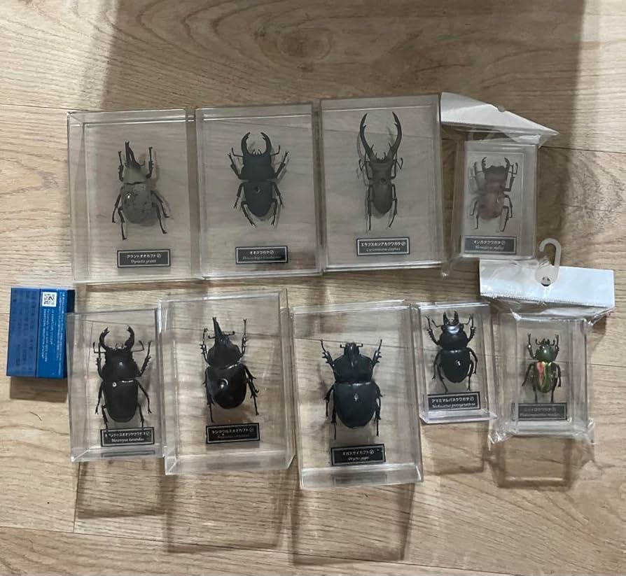Amazon | クワガタ カブトムシ リアル 標本 フィギュア 9体セット
