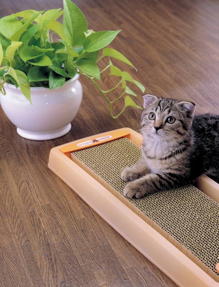 Amazon | アイリスオーヤマ ネコの爪とぎ 3個パック | アイリス