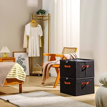 Amazon.com: INSTY 2 Pack Shoe Organizer for Closet, Fits up to 32