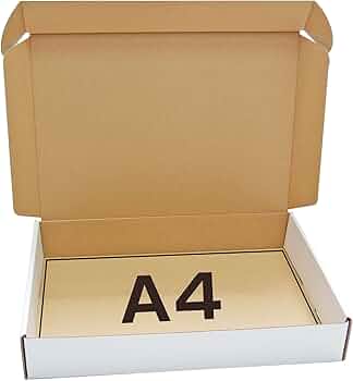 71M2NKNSPJL._AC_UF350,