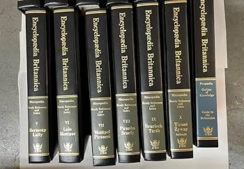 71Mk9-a8JJL._AC_UF350,