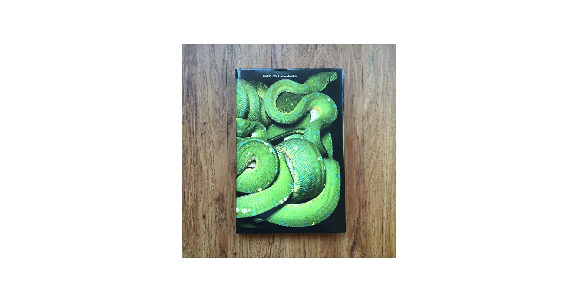 Guido Mocafico: Serpens: Goy, Jacqueline, Remy, Patrick, Mocafico