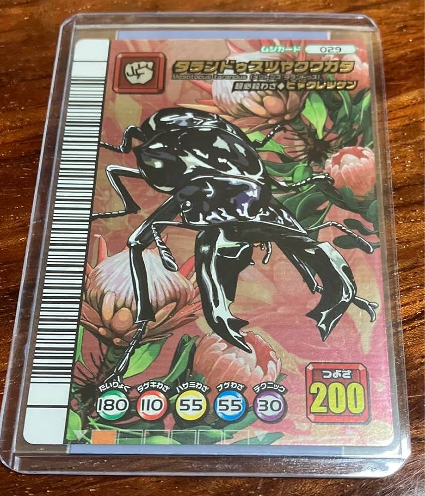 Amazon.co.jp: ムシキング 5周年 タランドゥスツヤクワガタ : Home