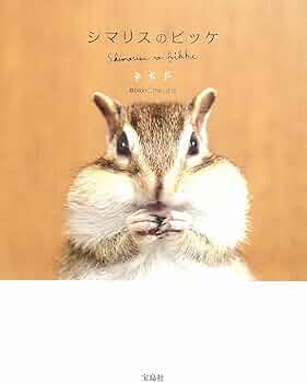 71NBf9+wcCL._AC_UF350,