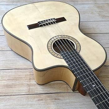 Amazon | Martinez マルチネス MP-14 Maple Artist エレガットギター