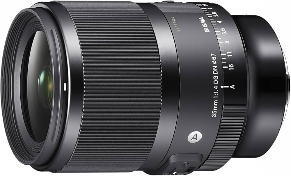 Amazon.co.jp: シグマ(Sigma) レンズ 35mm F1.4 DG DN Sony ソニー E