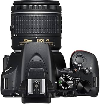 Amazon.com : Nikon D3500 W/ AF-P DX NIKKOR 18-55mm f/3.5-5.6G VR