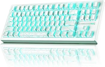 Amazon.com: ZORNHER ZH870 Wireless Gaming Mechanical Keyboard,80