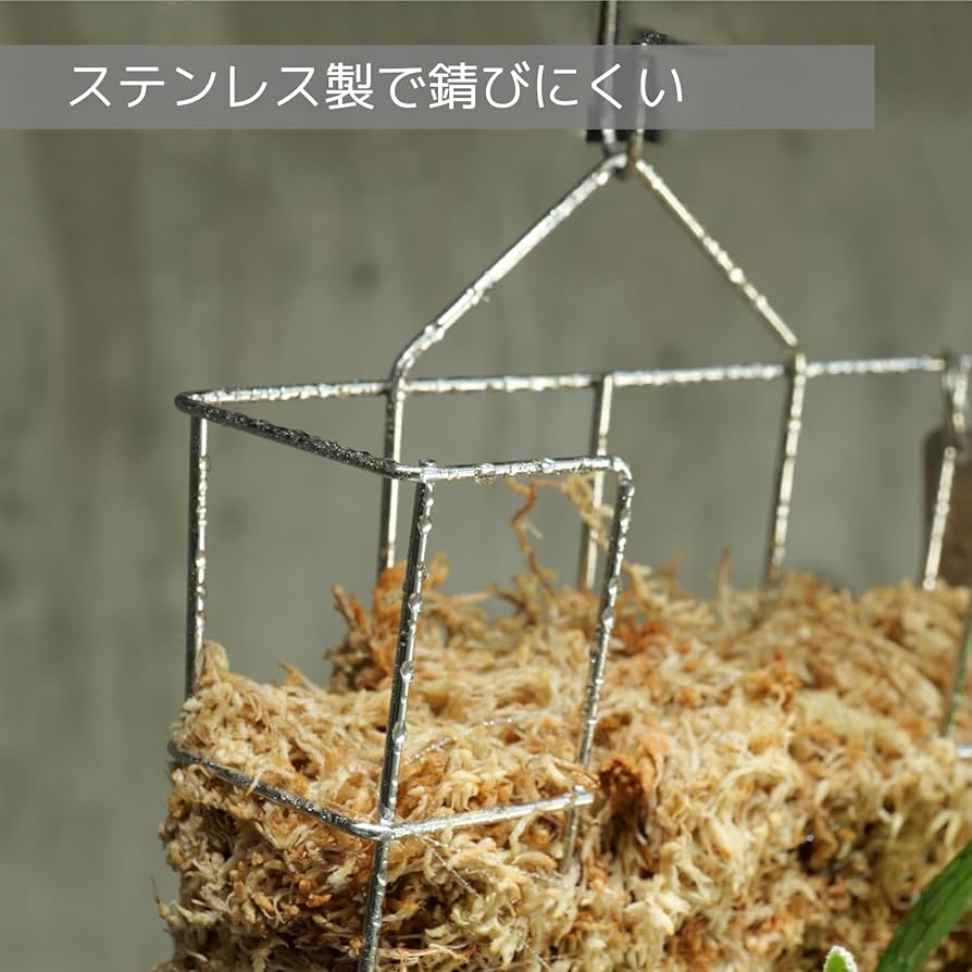 Amazon.co.jp: BIBILAB(ビビラボ) ビカクシダバスケット 3個セット