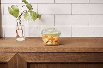 Amazon.co.jp: FOODSAVER 【公式】 真空パック容器 フレッシュボックス