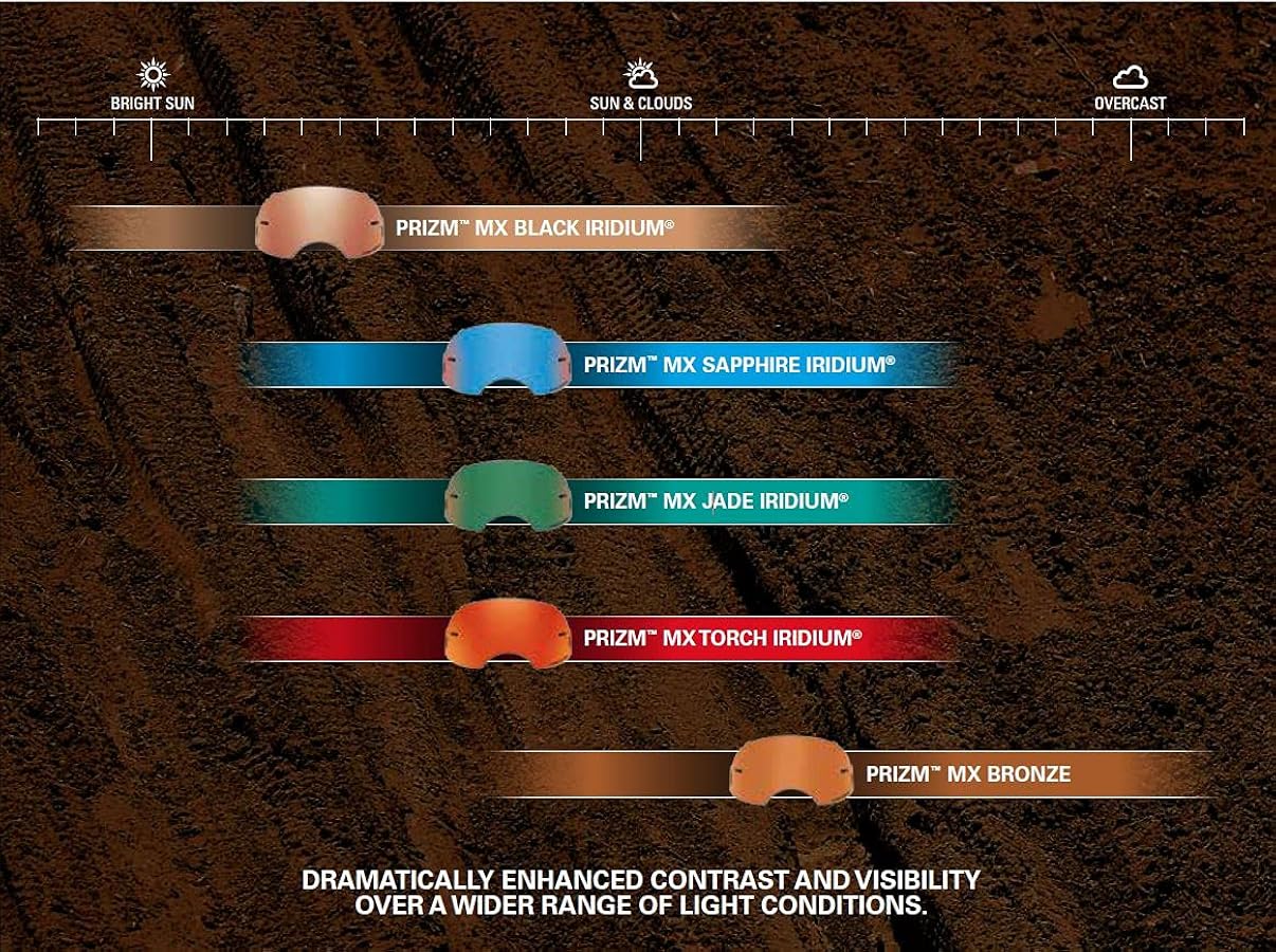 Amazon.com: Oakley - 101-133-014 Airbrake MX Replacement Prizm