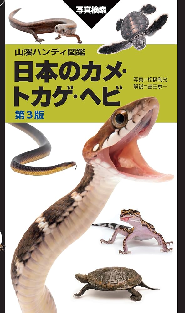 山溪ハンディ図鑑日本のカメ・トカゲ・ヘビ 第3版 | 松橋 利光, 富田