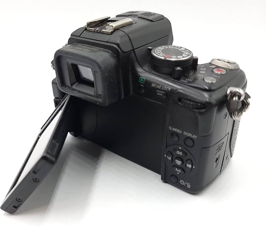 Amazon.com : Panasonic Lumix DMC-G1 12.1MP Micro Four Thirds