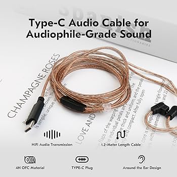 Amazon.com: KZ Castor Type-C IEM Cable With Mic , CCZ C02 4N OFC