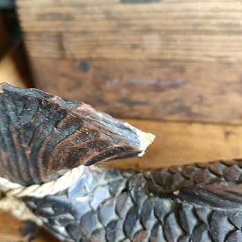 Amazon.co.jp: 囲炉裏 自在鉤 飾り 鯉 魚 木彫 古道具 : ホーム＆キッチン