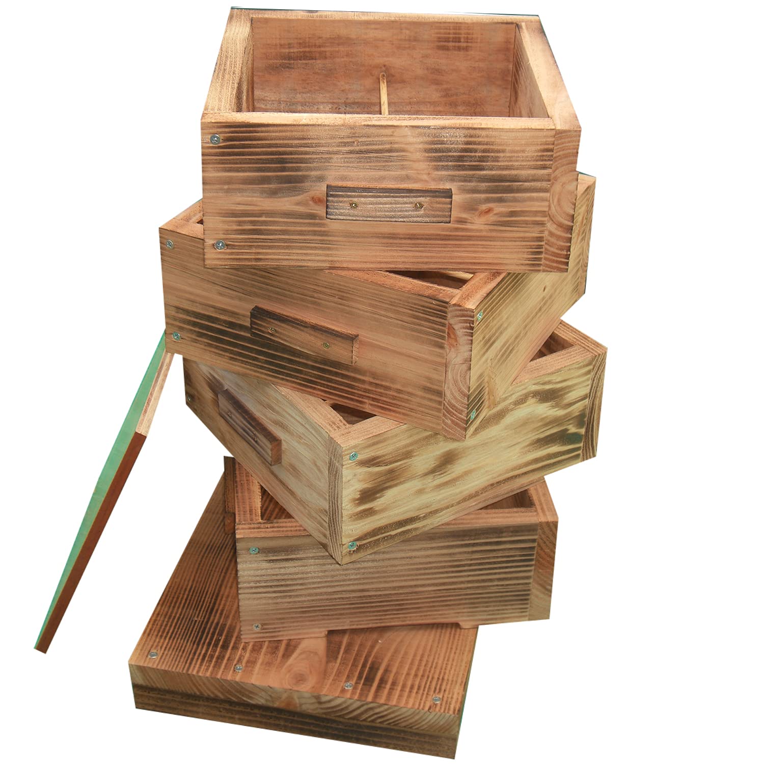 Amazon.co.jp: 日本蜜蜂 日本みつばち 日本ミツバチ 巣箱 重箱式 4段