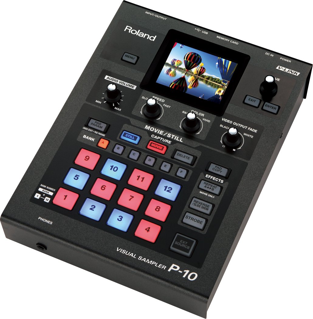 Roland P-10 Visual Sampler : Amazon.in: Electronics