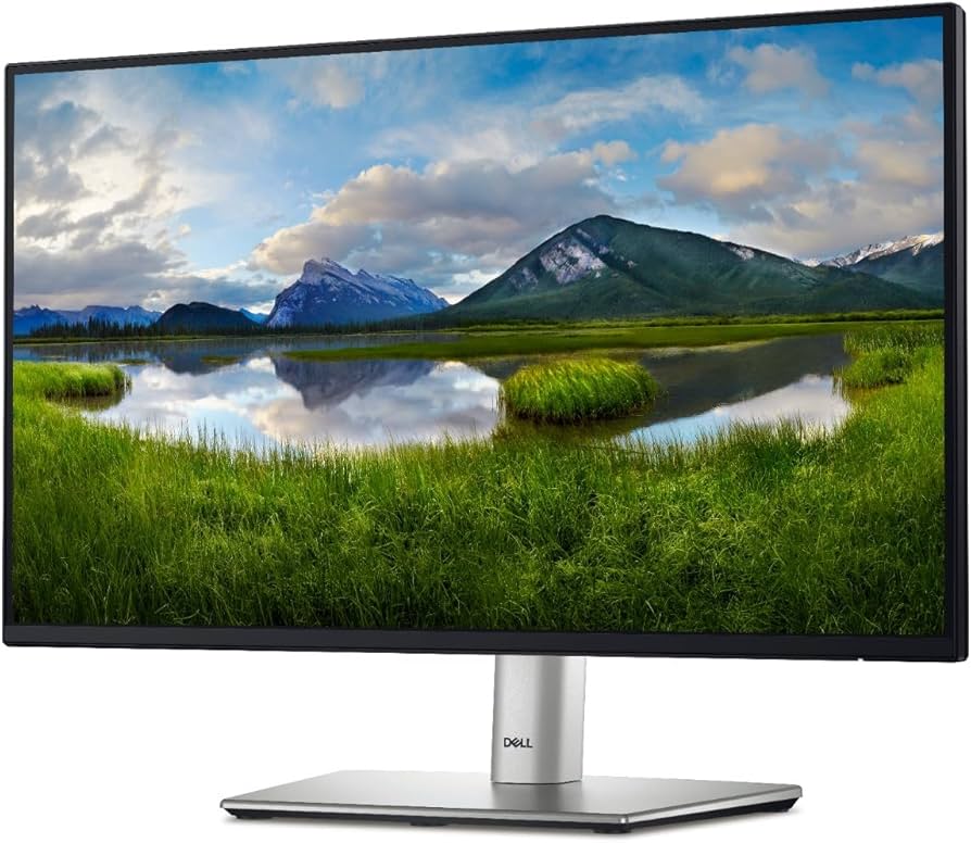 Amazon.com: Dell 24 Monitor - P2422H - Full HD 1080p, IPS