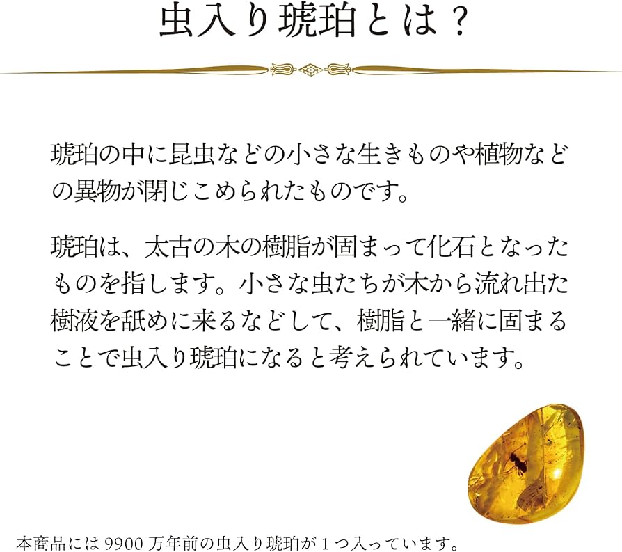 Amazon | 9900万年前の虫入りコハク化石 恐竜時代の虫入り琥珀 白亜紀