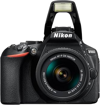 Amazon.com : Nikon D5600 Digital SLR Camera & 18-55mm VR DX AF-P