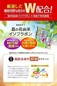 Amazon | シボヘール3 120粒入り (1日4粒 30日分) 機能性表示食品 肥満