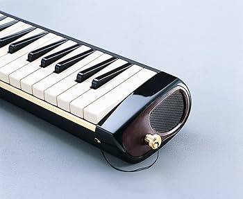 Amazon | SUZUKI スズキ 鍵盤ハーモニカ メロディオン アルト PRO-37v2