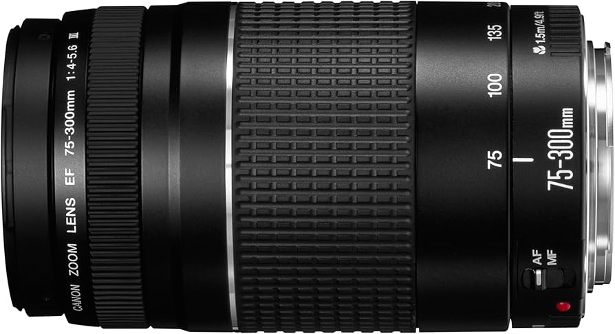 Amazon.com : Canon EF 75-300mm f/4-5.6 III Telephoto Zoom Lens