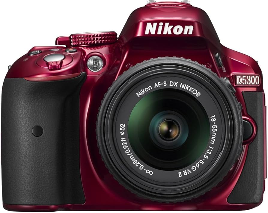 Amazon.com : Nikon D5300 24.2 MP CMOS Digital SLR Camera with 18
