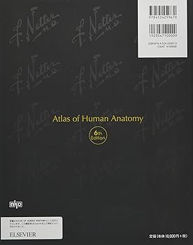 ネッター解剖学アトラス原書第6版 | F.H.Netter, 相磯貞和 |本 | 通販