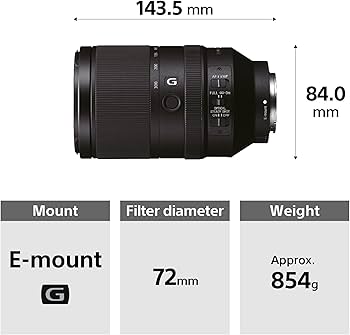 Amazon.com : Sony FE 70-300mm f/4.5-5.6 G OSS Lens for Sony E