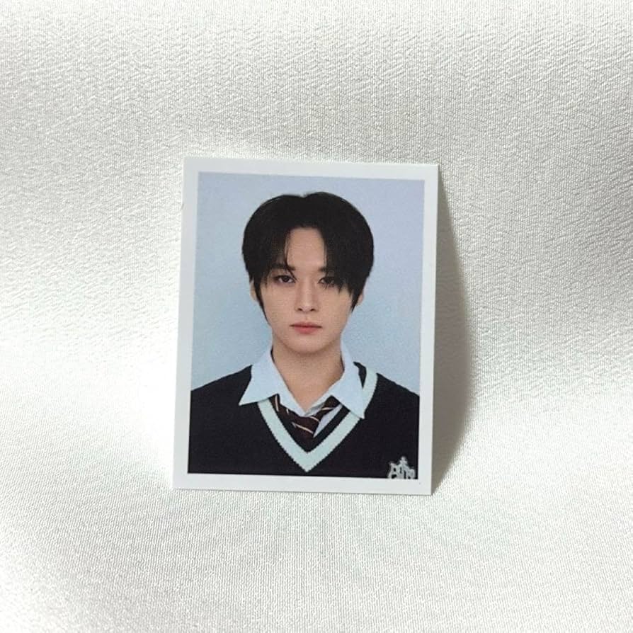 Amazon.co.jp: straykids スキズ リノ ペンミ IDフォトカード 証明写真