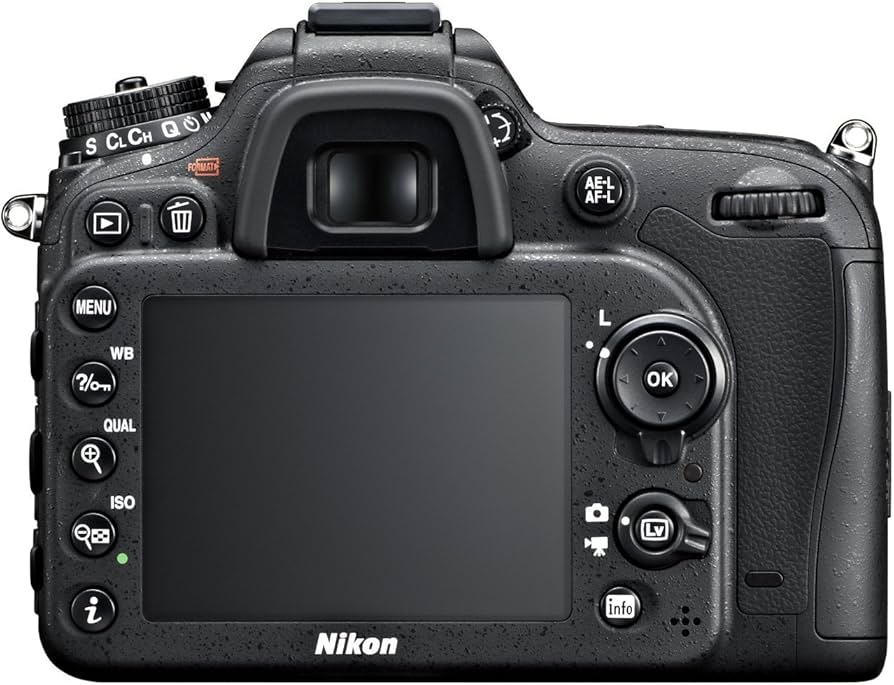 Amazon.com : Nikon D7100 24.1 MP DX-Format CMOS Digital SLR (Body