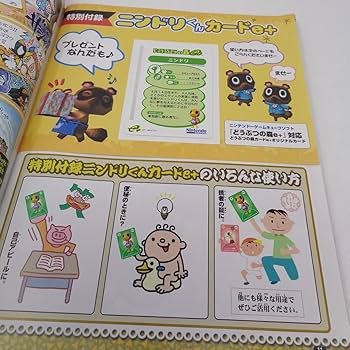 どうぶつの森e + カード ニンドリ NintendoDREAM付録 どうぶつの森e +